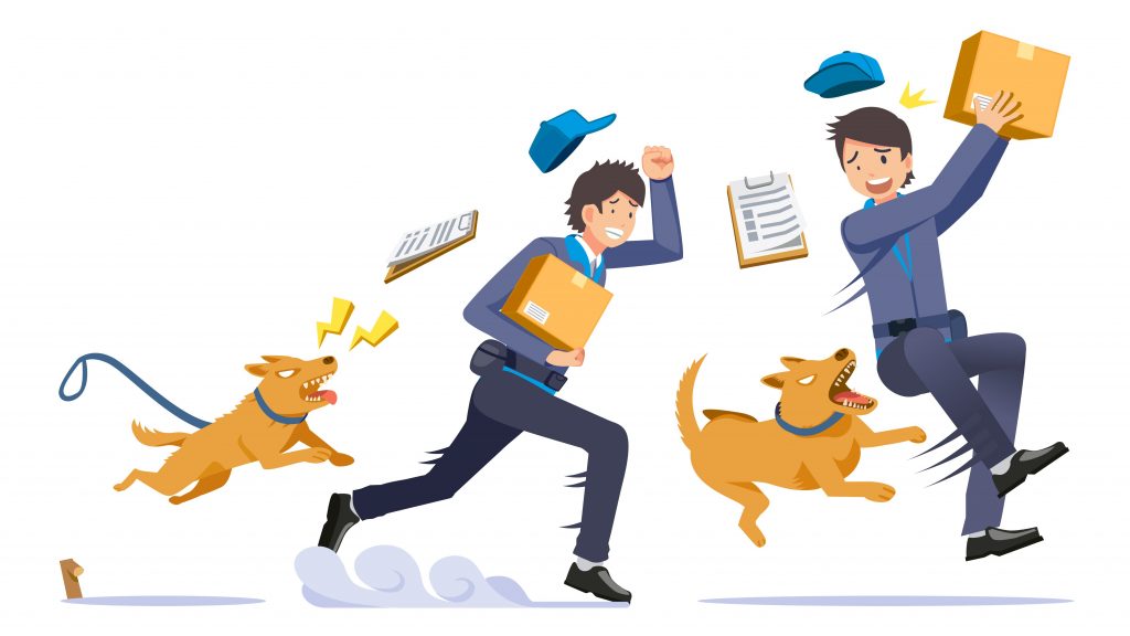 Morsure de chien et indemnisation